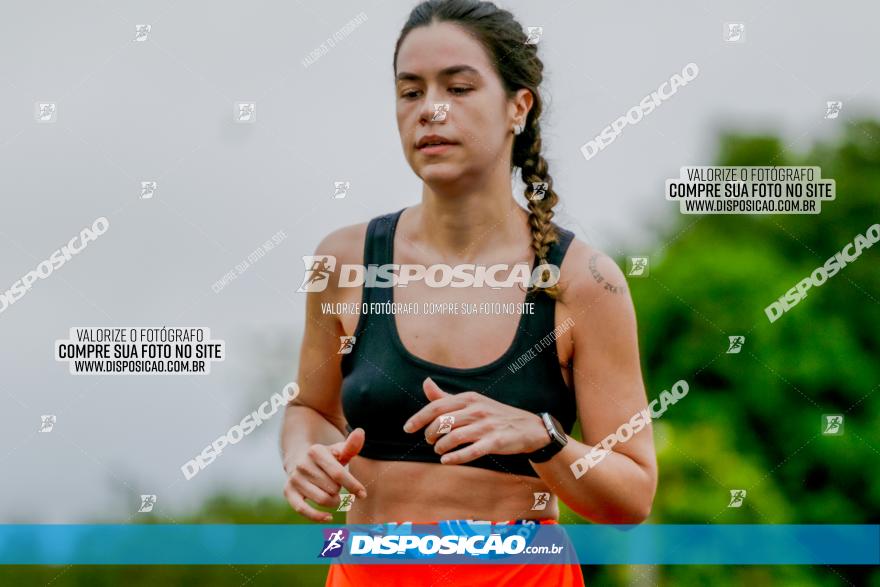Boulevard Run 2023