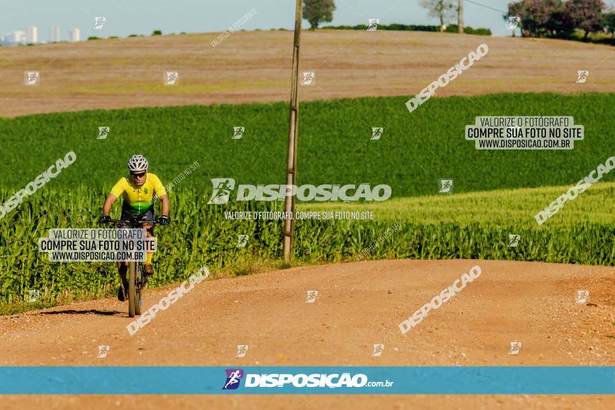 7º PEDAL DO TRABALHADOR DA VITAL BIKES