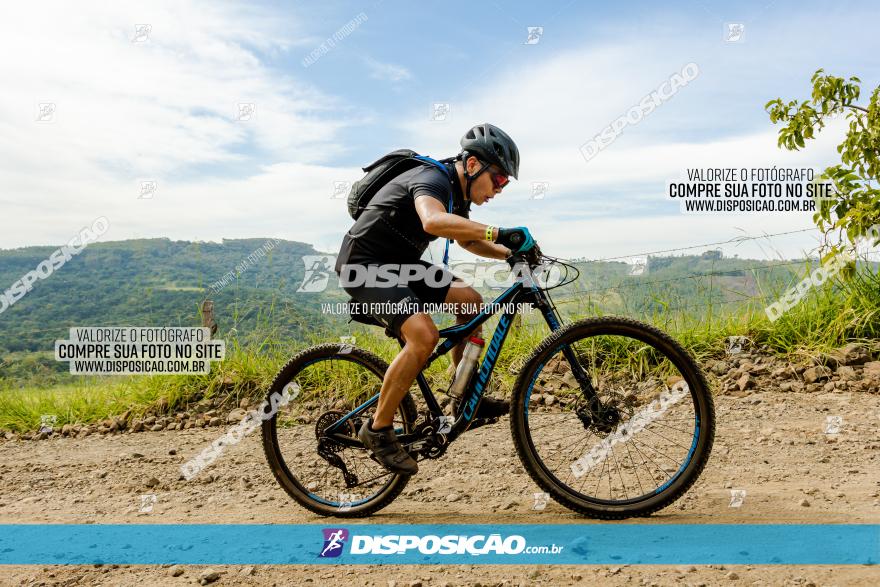 Rota das Catedrais 2023