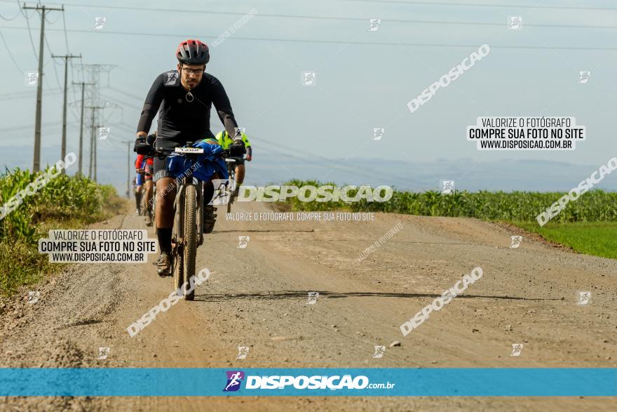 Rota das Catedrais 2023