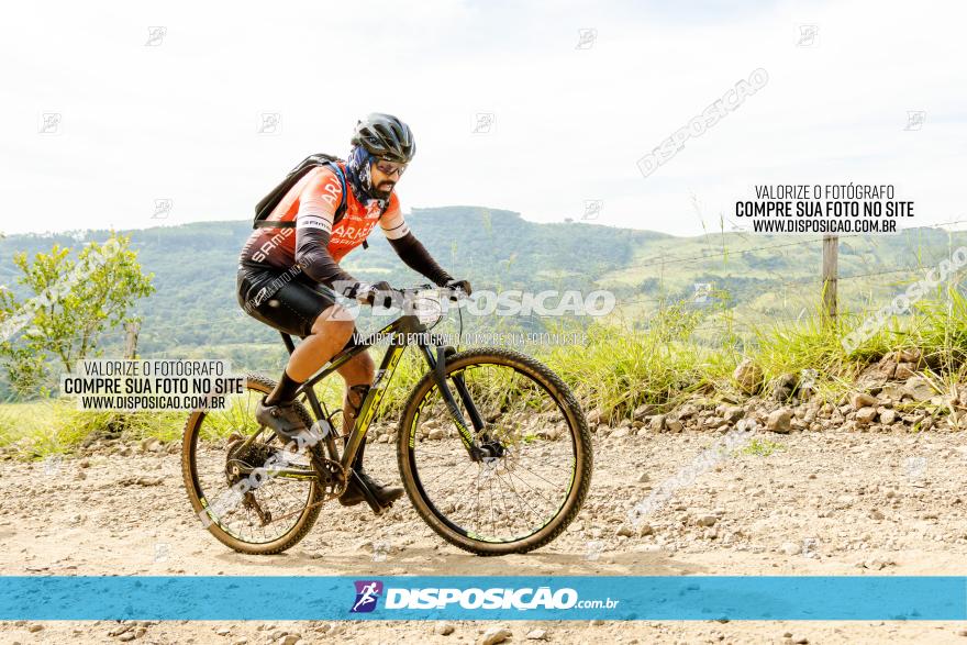 Rota das Catedrais 2023