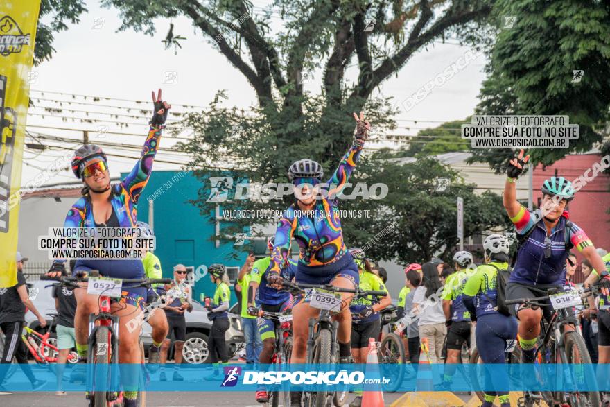 Rota das Catedrais 2023