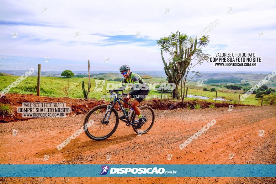 Rota das Catedrais 2023