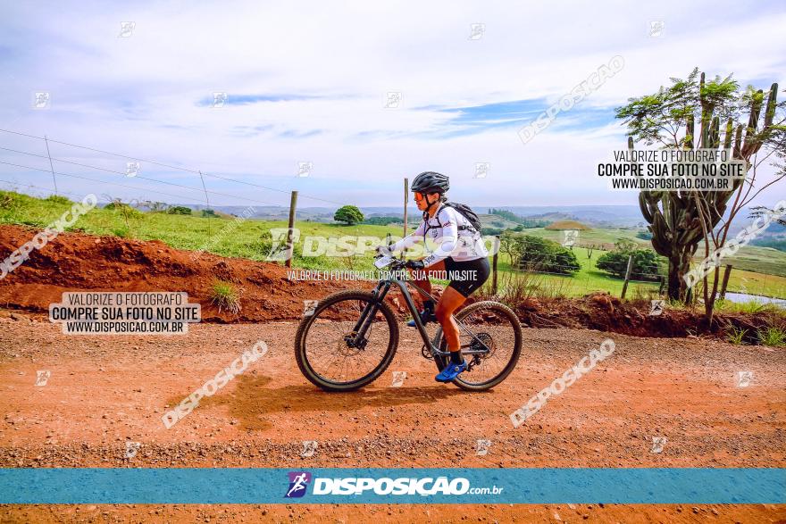 Rota das Catedrais 2023