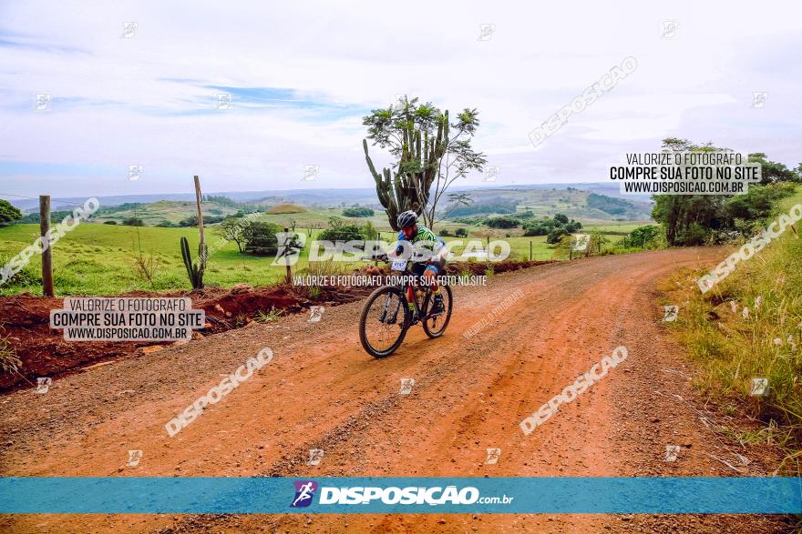 Rota das Catedrais 2023