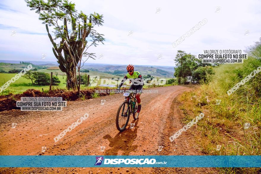 Rota das Catedrais 2023