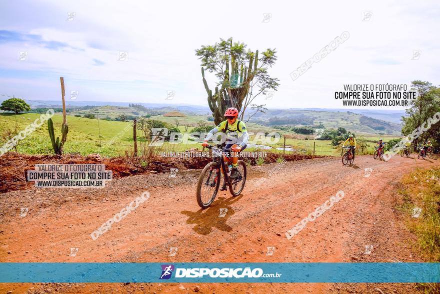 Rota das Catedrais 2023
