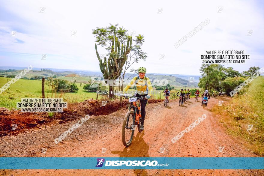 Rota das Catedrais 2023