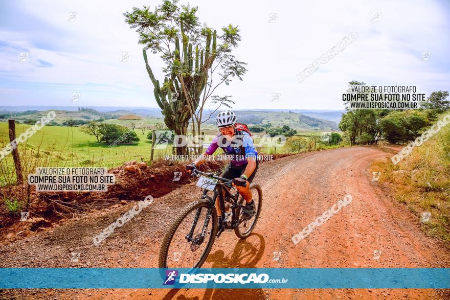 Rota das Catedrais 2023