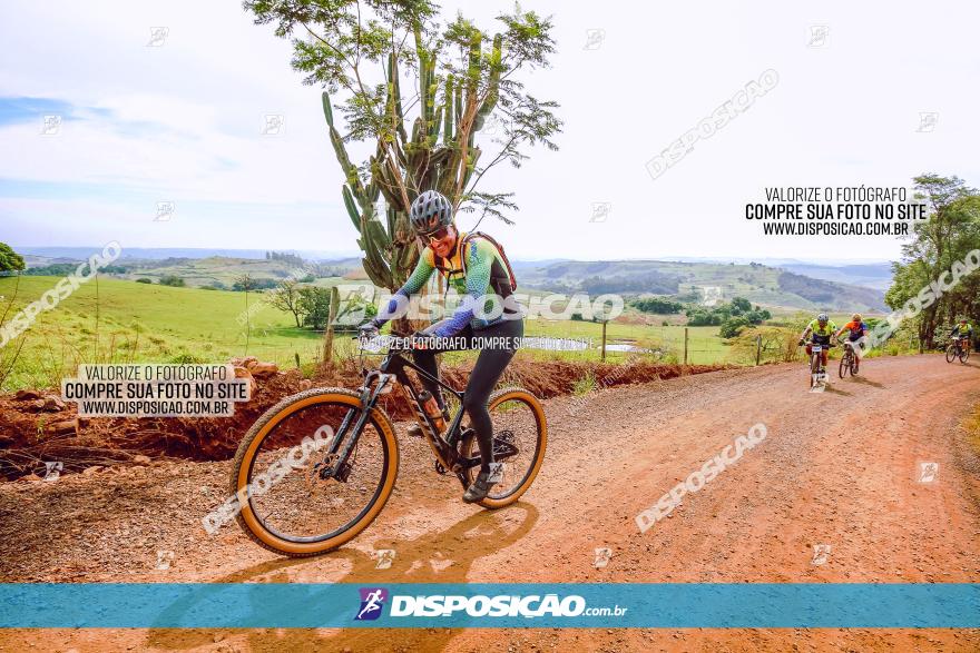 Rota das Catedrais 2023