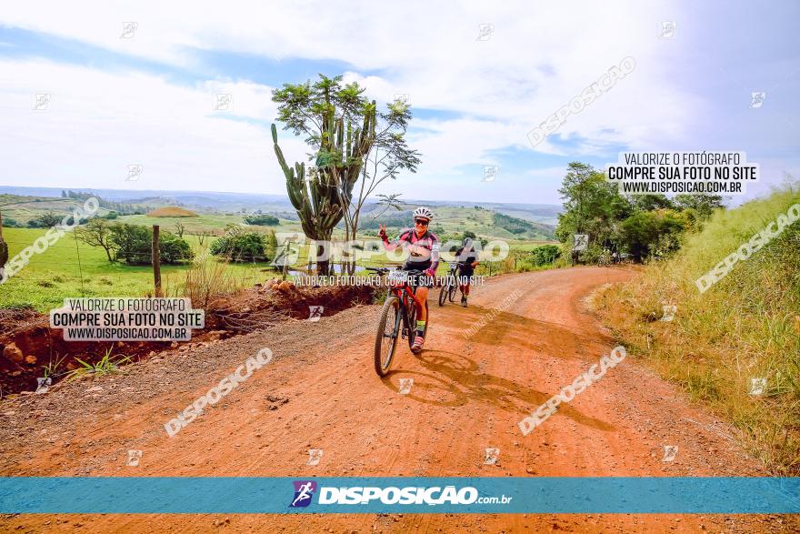 Rota das Catedrais 2023