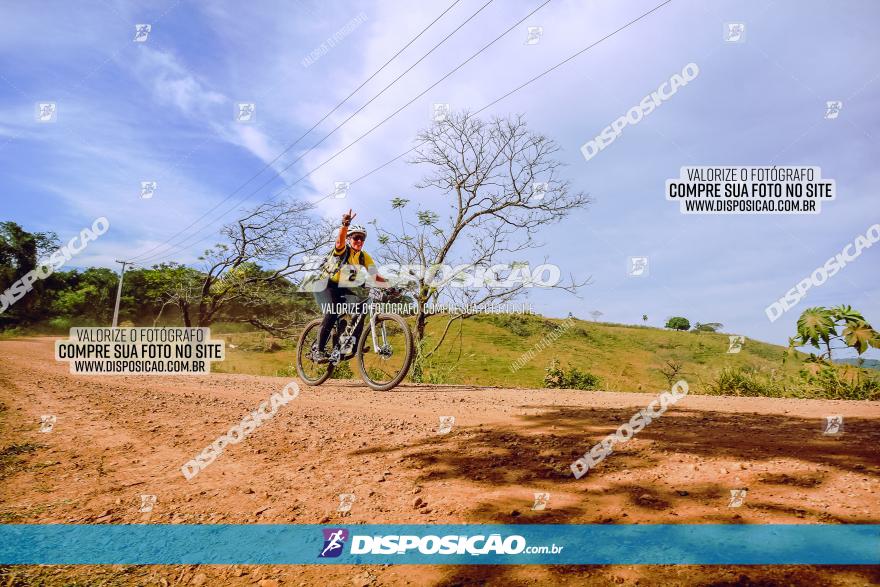 Rota das Catedrais 2023