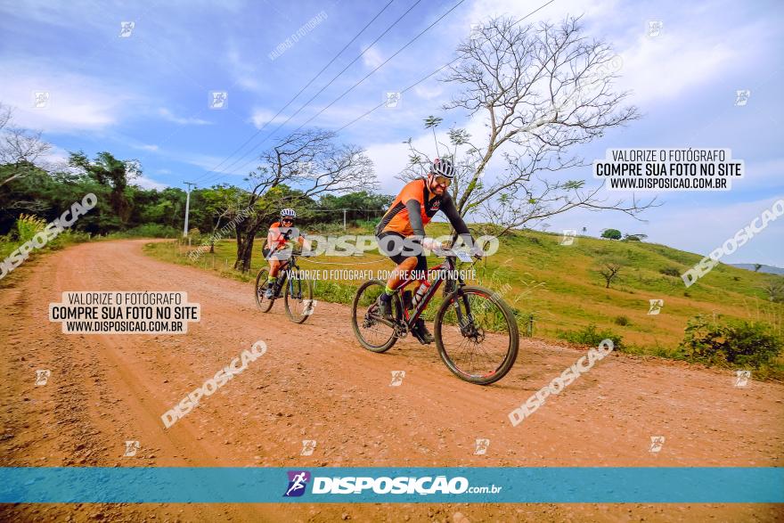 Rota das Catedrais 2023