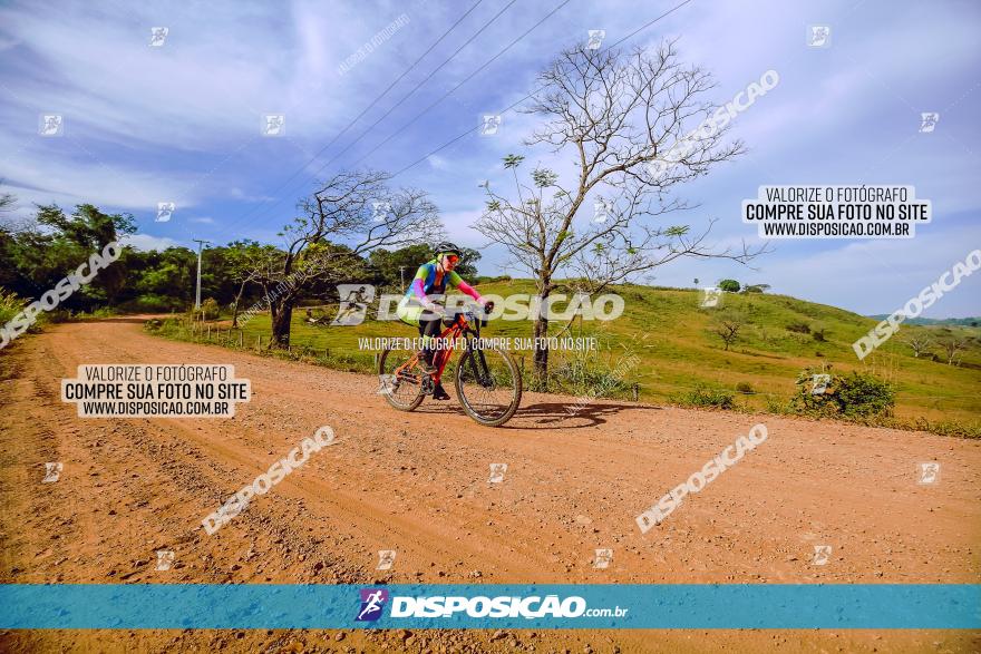 Rota das Catedrais 2023