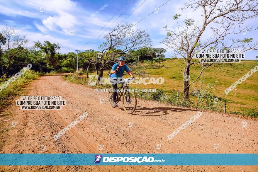 Rota das Catedrais 2023