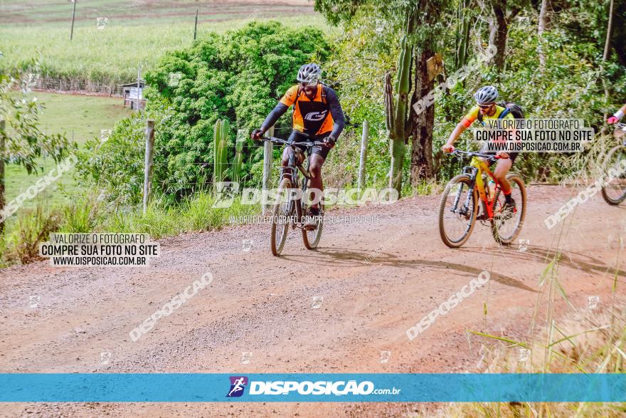 Rota das Catedrais 2023