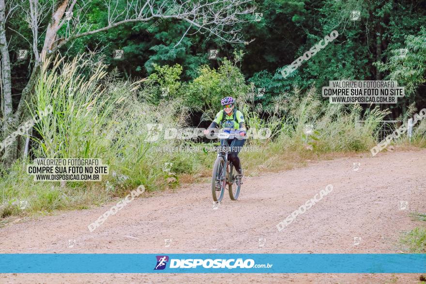 Rota das Catedrais 2023