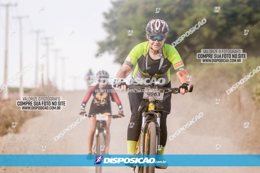 Rota das Catedrais 2023