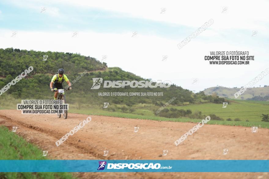 Rota das Catedrais 2023
