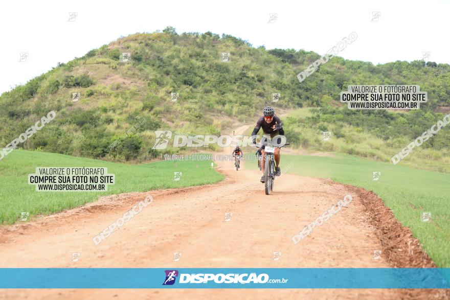 Rota das Catedrais 2023