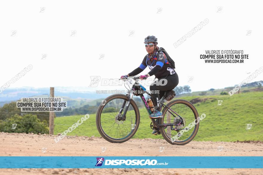Rota das Catedrais 2023