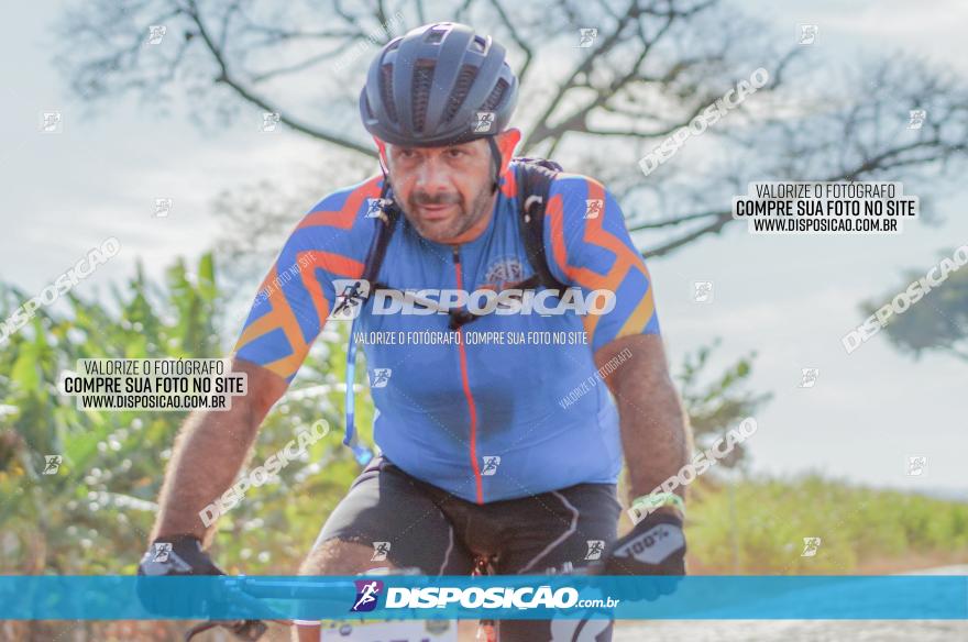 Rota das Catedrais 2023