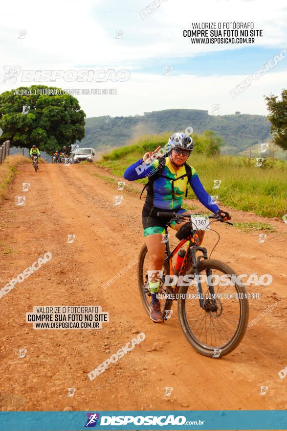 Rota das Catedrais 2023