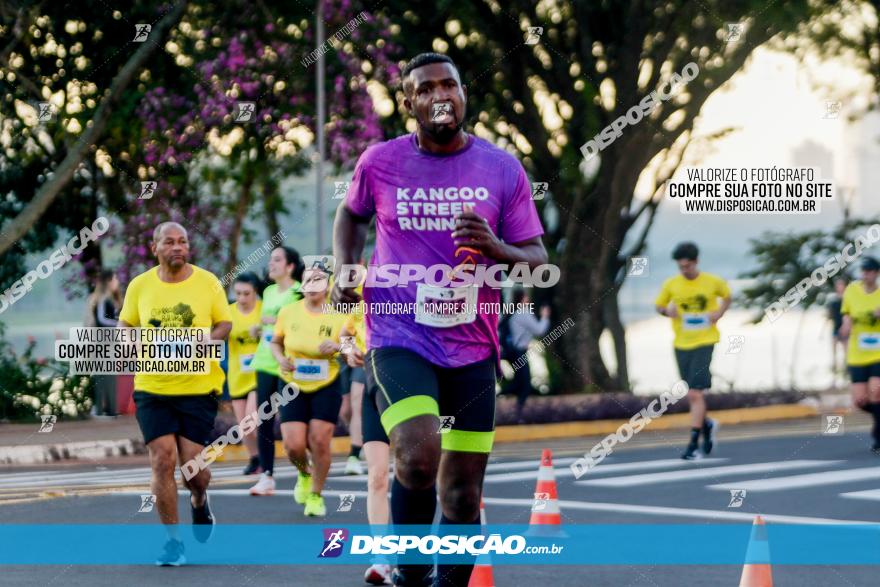 (amp) RUN 2023
