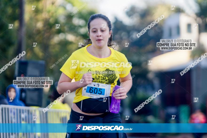 (amp) RUN 2023