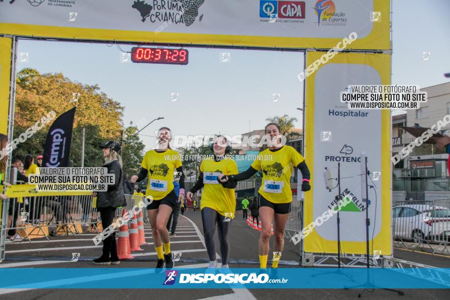 (amp) RUN 2023