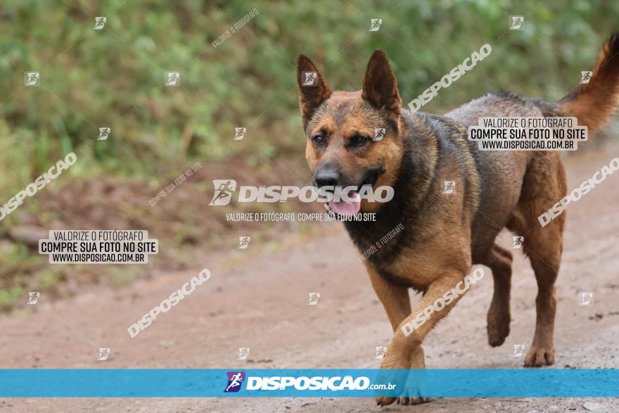 Desafio 55 por 55