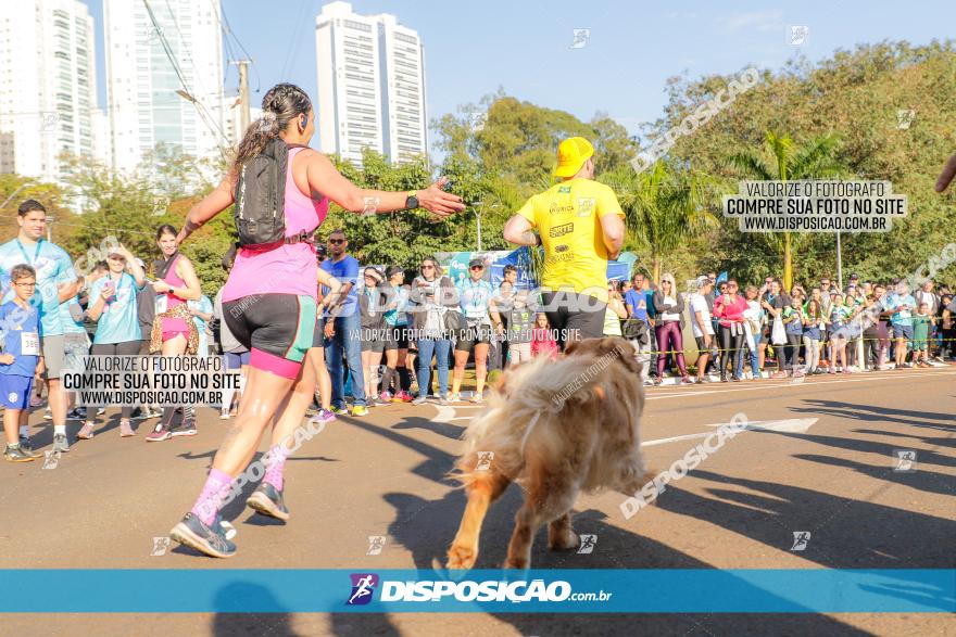 Muffato Fresh Run 2023 Londrina 