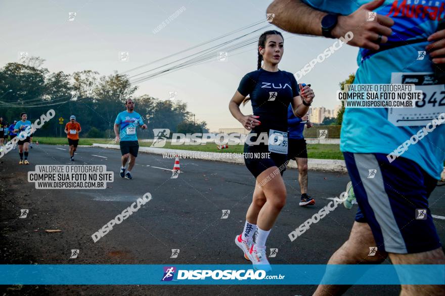 Muffato Fresh Run 2023 Londrina 