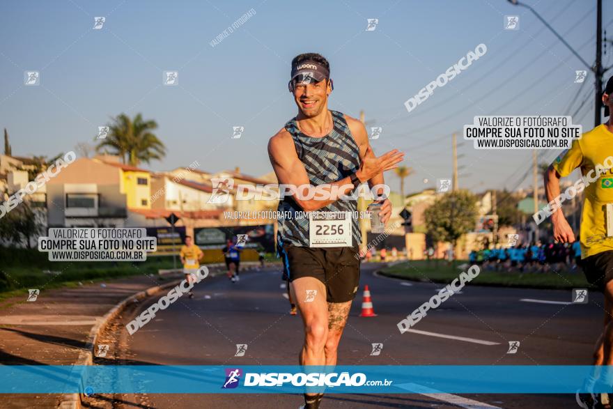 Muffato Fresh Run 2023 Londrina 