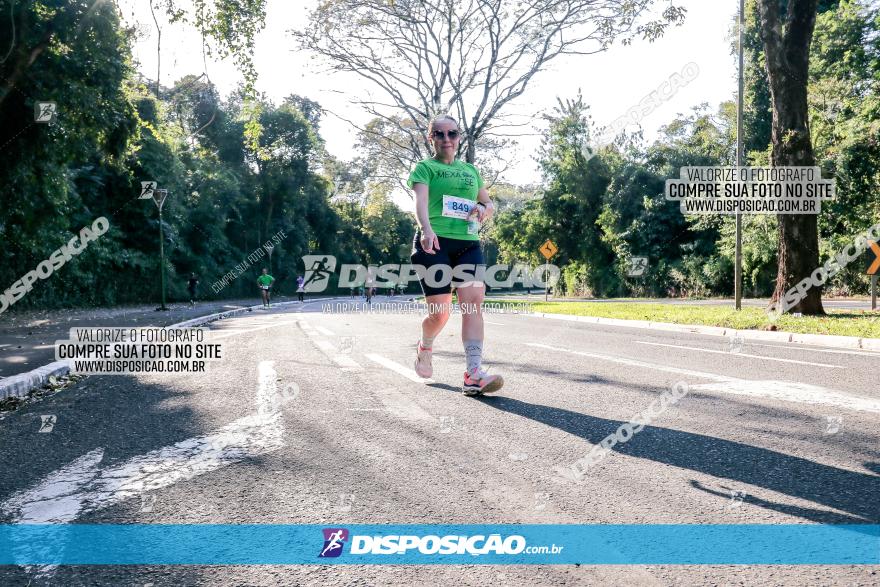 Corrida Mexa-se Pela Vida - Maringá