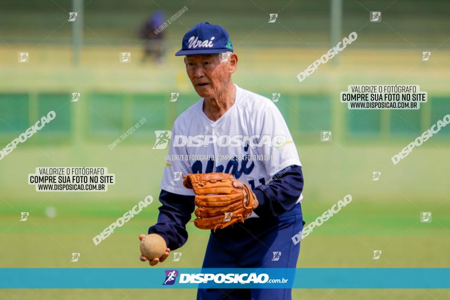XXXII Brasileirão de Softbol
