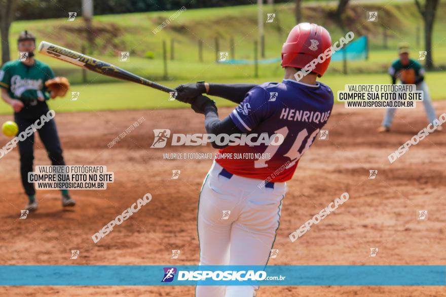 XXXII Brasileirão de Softbol