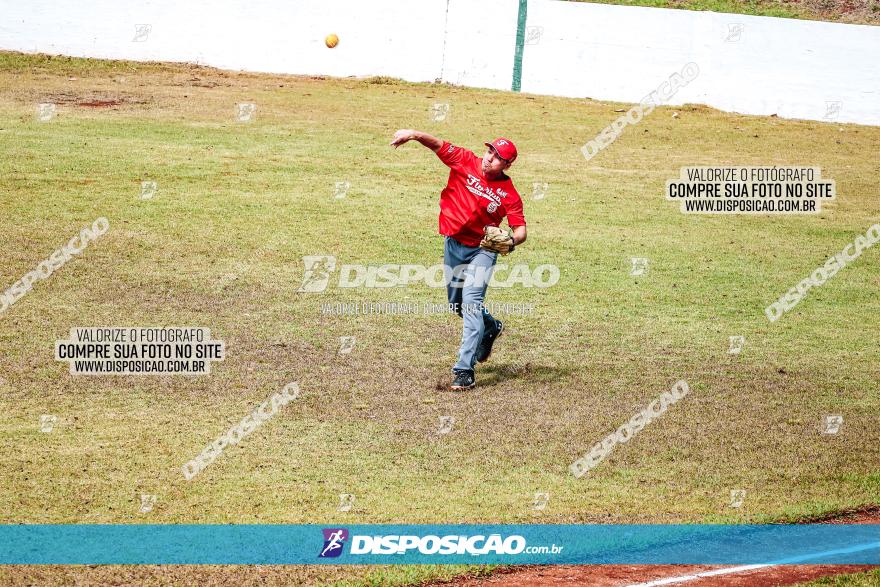 XXXII Brasileirão de Softbol