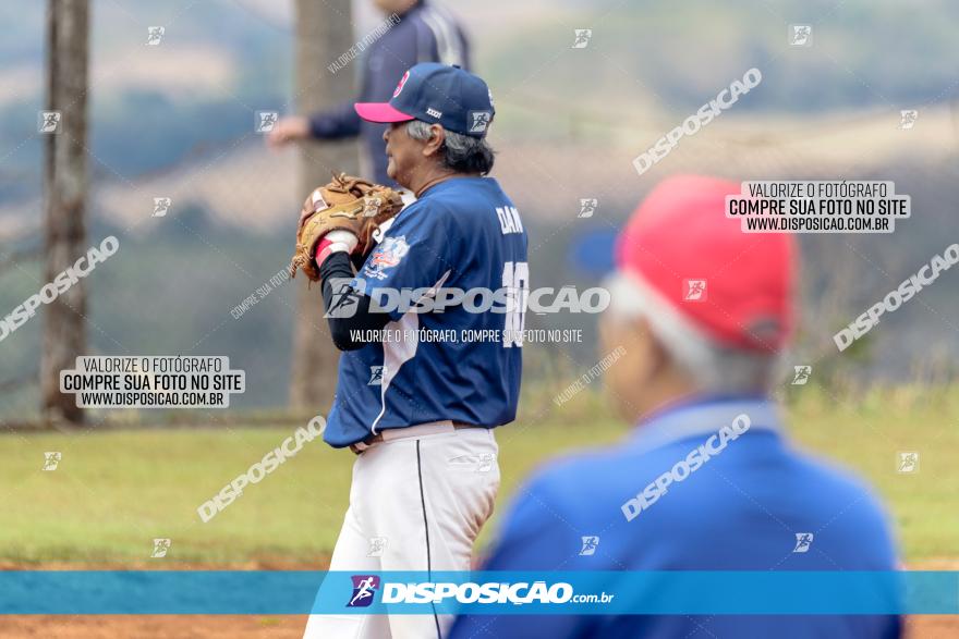 XXXII Brasileirão de Softbol