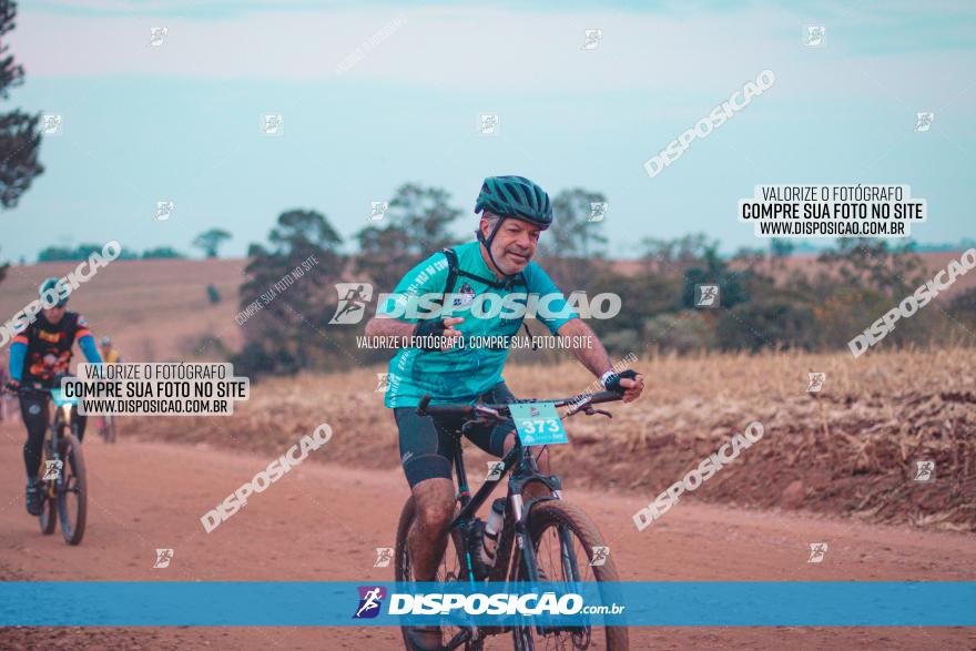 Desafio do Anjo 2023