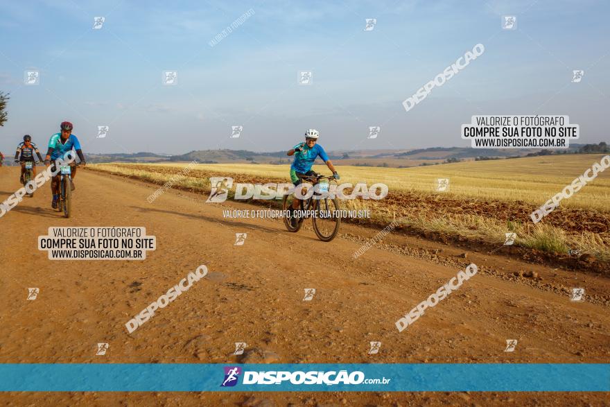 Desafio do Anjo 2023