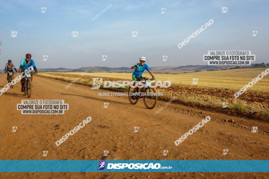 Desafio do Anjo 2023
