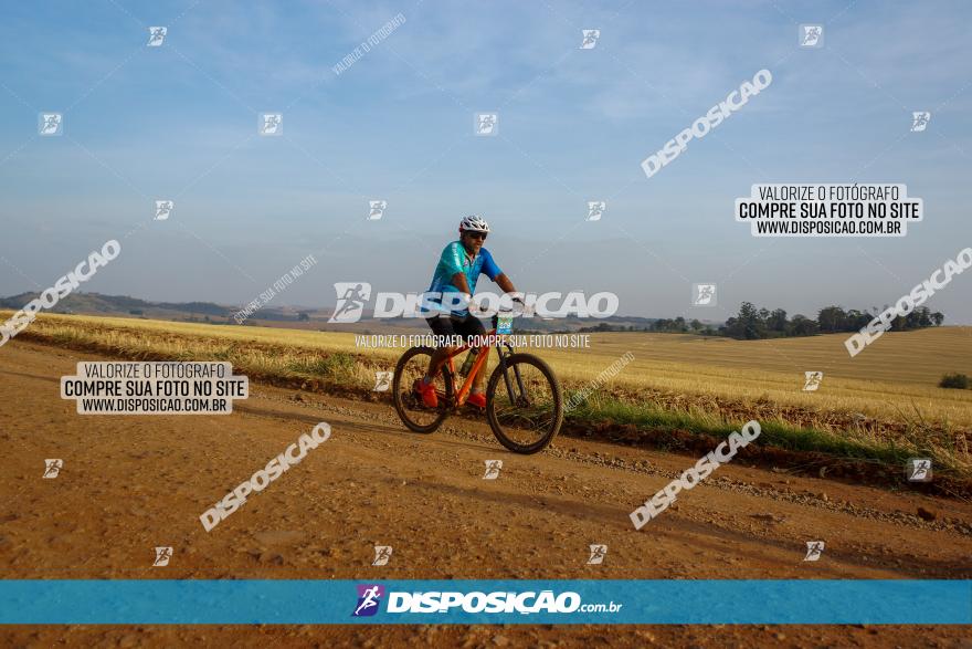 Desafio do Anjo 2023