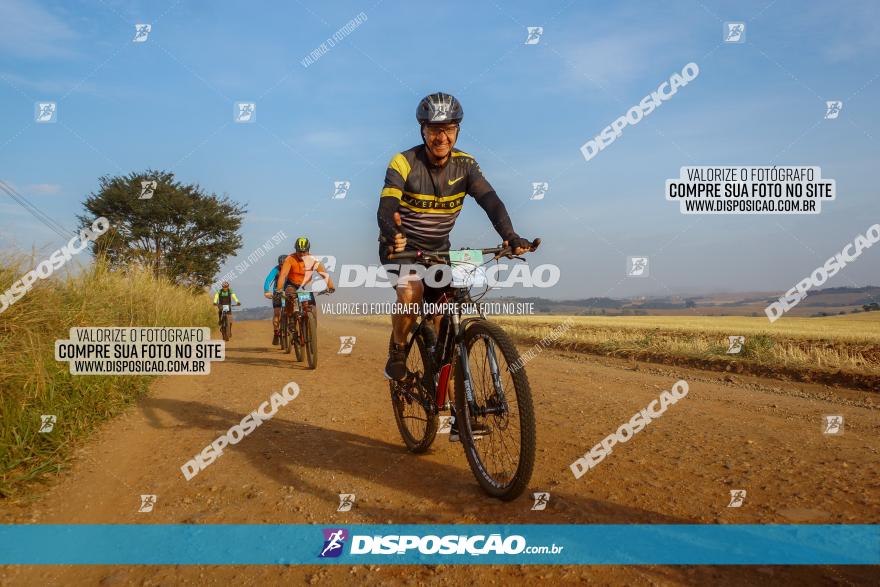 Desafio do Anjo 2023
