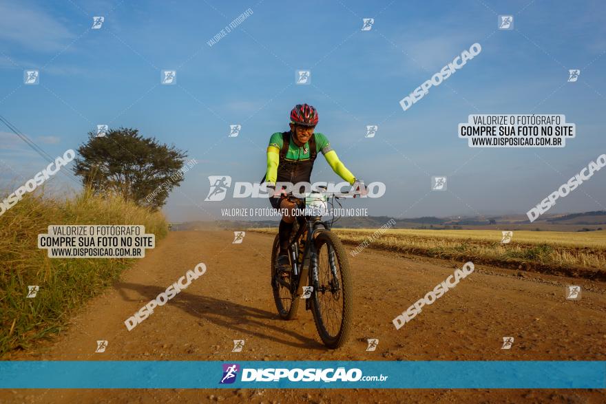 Desafio do Anjo 2023