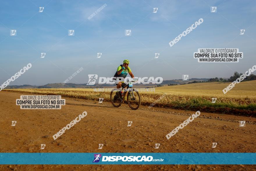 Desafio do Anjo 2023