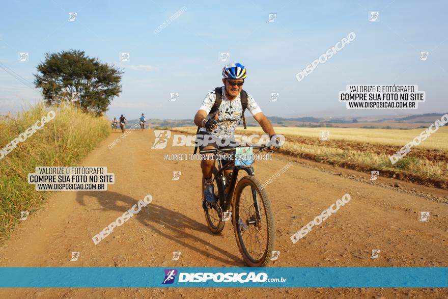 Desafio do Anjo 2023