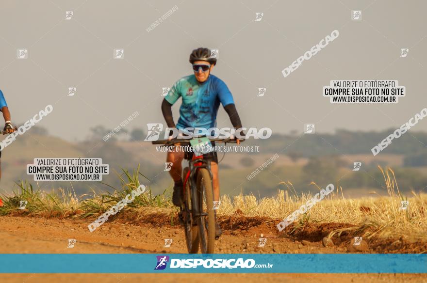 Desafio do Anjo 2023