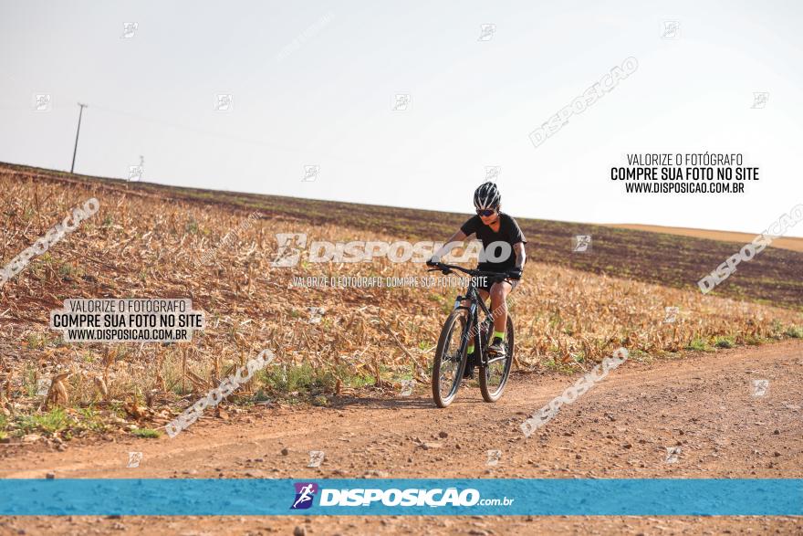 4º Pedal Light by Day