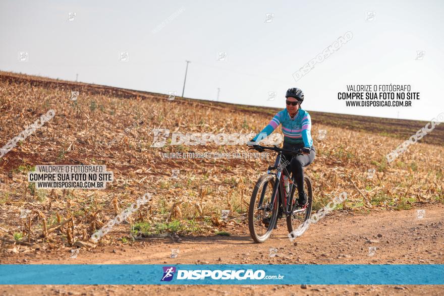 4º Pedal Light by Day